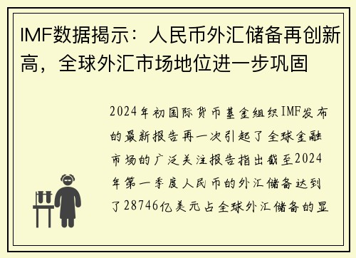 IMF数据揭示：人民币外汇储备再创新高，全球外汇市场地位进一步巩固